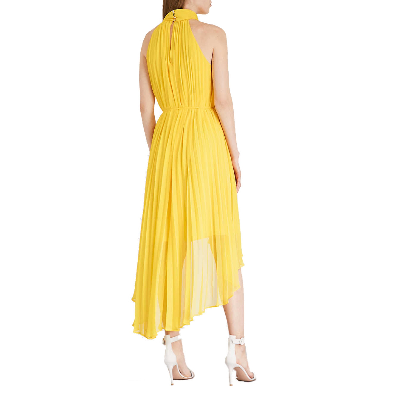 Ted Baker Nadette Pleated Collar Maxi Dress – evaChic